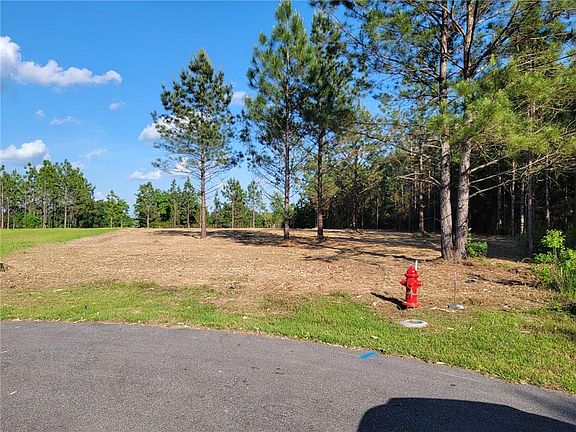 3rd image of 40 Hampton Ridge Ct Lot 36