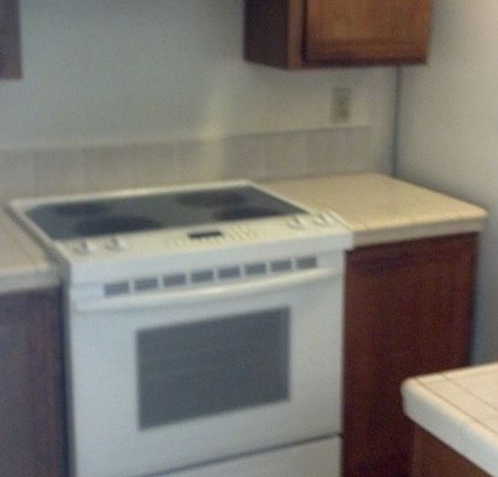 3rd image of 1111 Carlsbad Pl