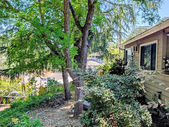 Front yard