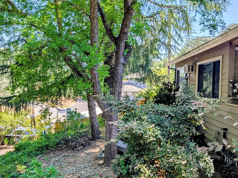 Front yard