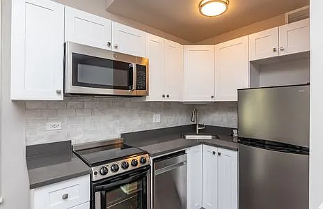 640 W Wrightwood Ave #309 — Photo 5