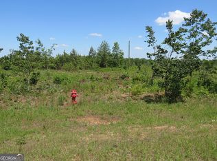 0 Ebenezer Rd, Ellaville, GA 31806