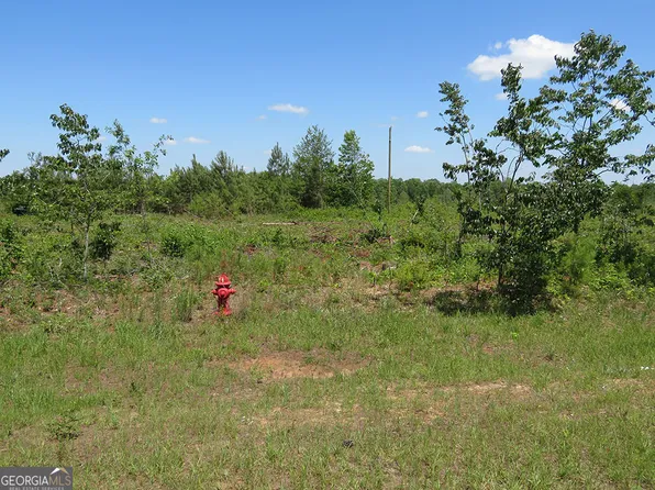 0 Ebenezer Rd, Ellaville, GA 31806