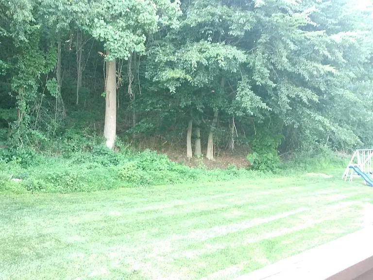 161 Madison Way — Photo 20