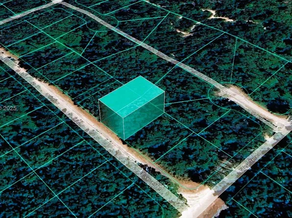 1093 E Vercelli Ln, Citrus Springs, FL 34434