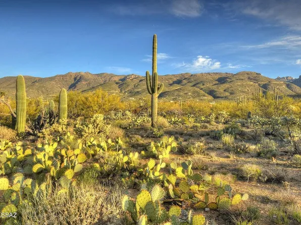 4503 N Larkspur Rd Unit 0, Tucson, AZ 85749