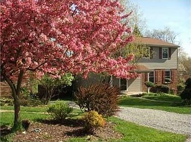 2nd image of 486 Galway Dr