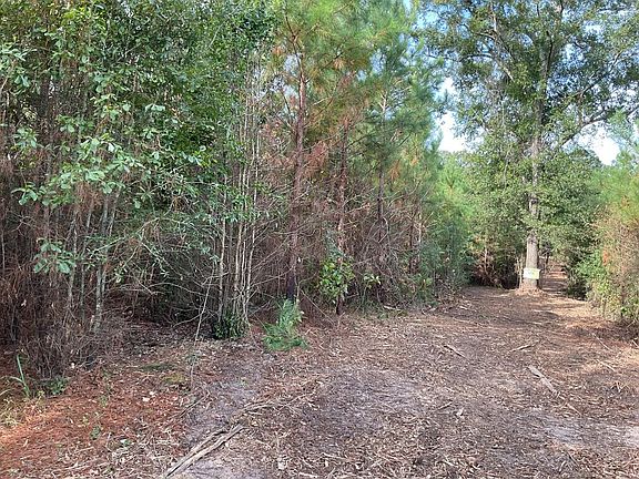 2nd image of 500 Pond Creek Rd