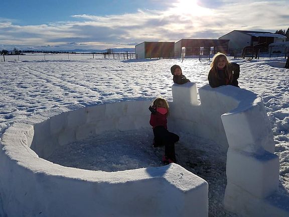 Backyard, goes to rear fence