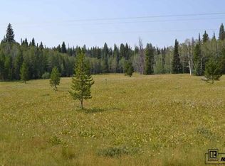 60130 Crazy Horse Way, Clark, CO 80428