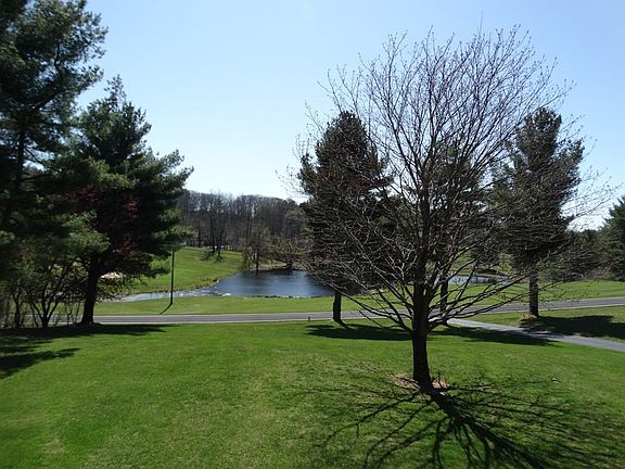 3rd image of 296 Skyland Lakes Dr