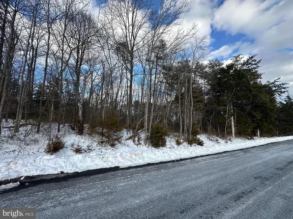 0 Hollow Rd, Gore, VA 22637