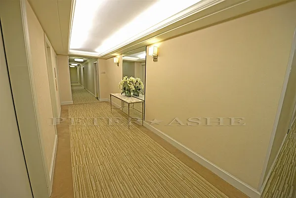 Rented by Peter Ashe | media 43