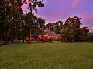 29112 Sky Forest Cir, Magnolia, TX 77355