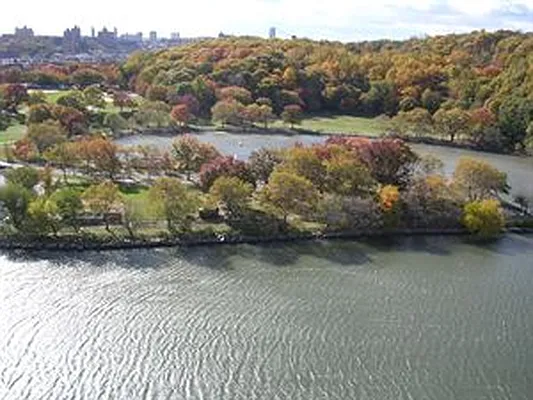 Sold by Douglas Elliman | media 11