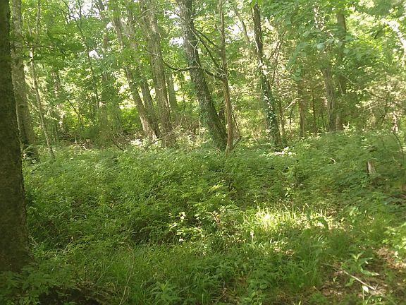 3rd image of 0 County Road 48