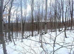 25 Toms Cabin Rd, West Dover, VT 05356