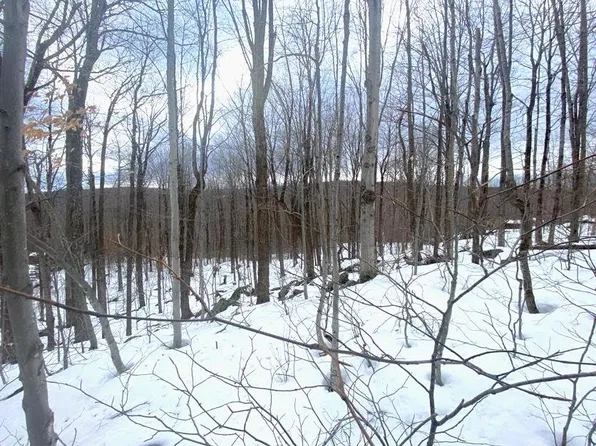 25 Tom's Cabin Road, Dover, VT 05356