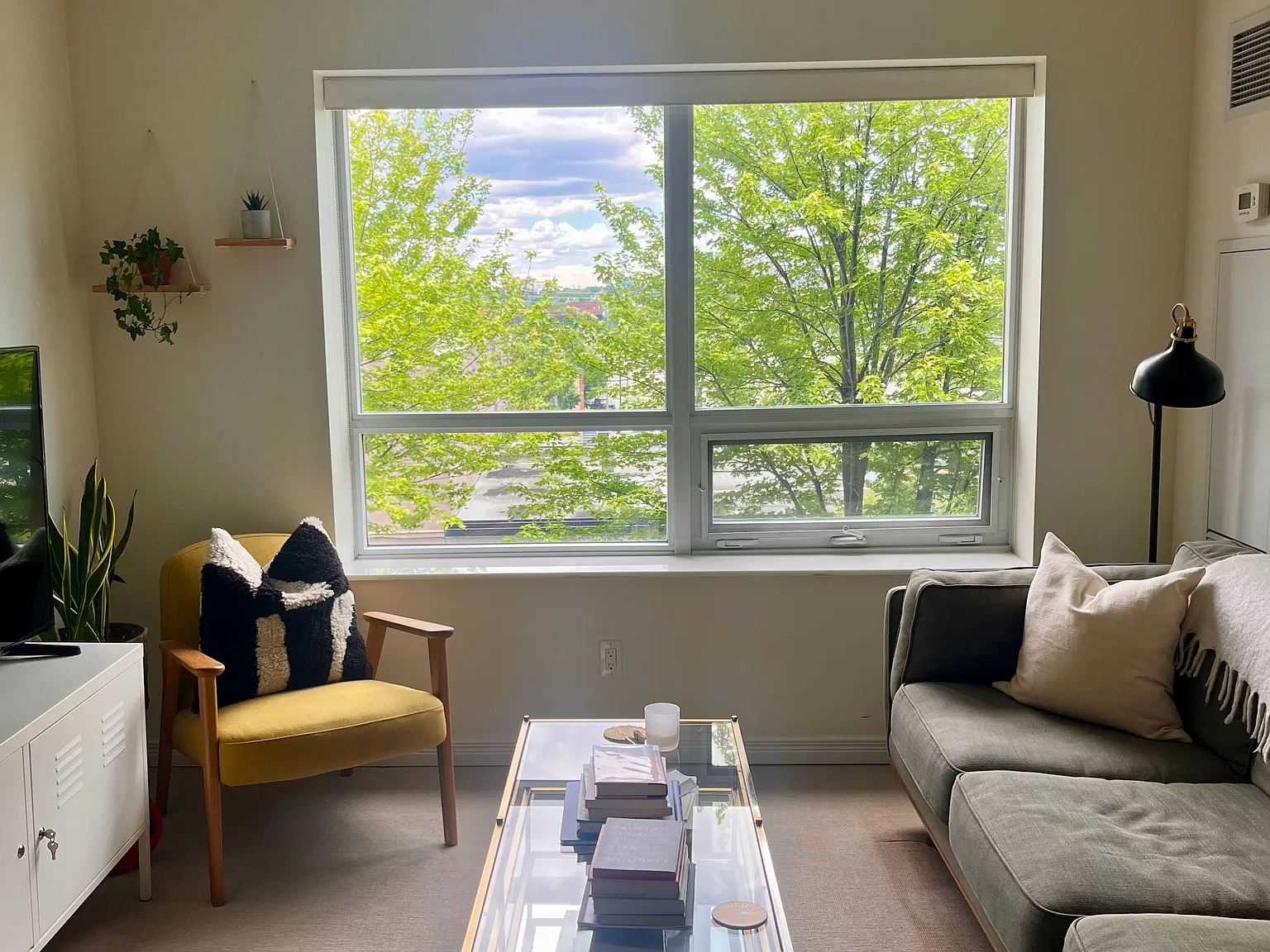 1 bed, $2,000 — Photo 3