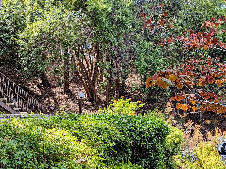 Front landscaping
