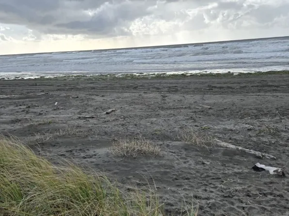 437 Dune Crest, Westport, WA 98595