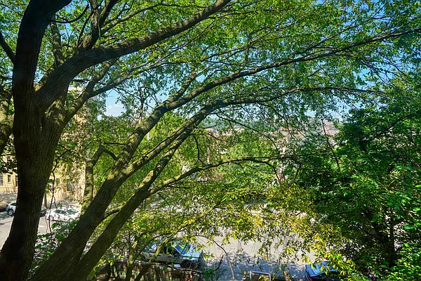 Rented by Spire Group | media 29