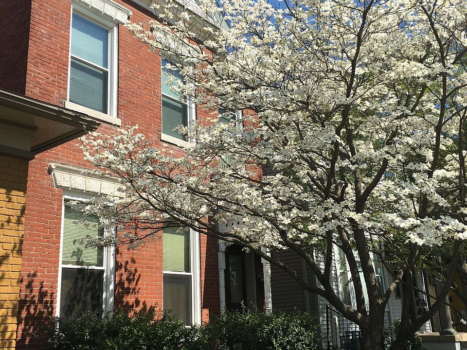 Beautiful Front of House