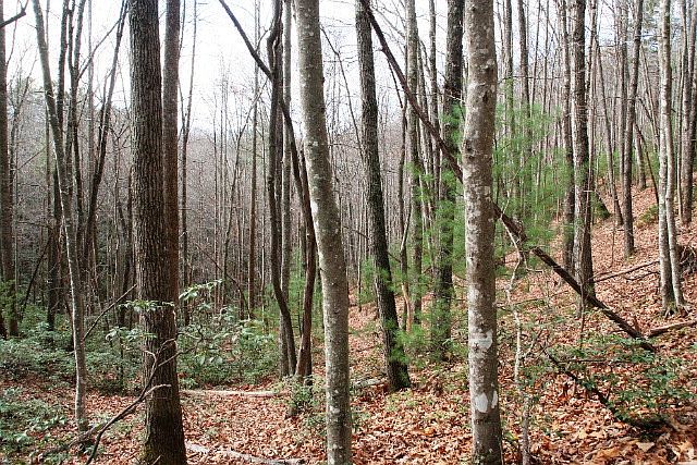 2nd image of 6724 Sampson Rd