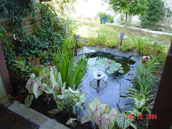 Porch Pond