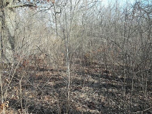 1st image of 8905 W 126th St