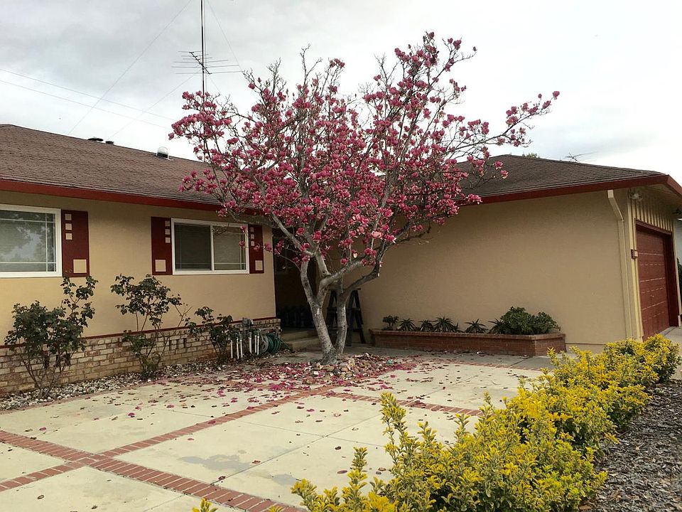 Front yard with beautiful tree