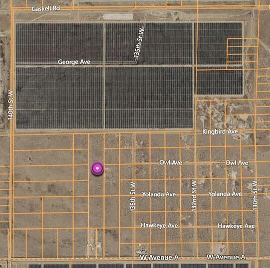 2nd image of Kingbird Ave
