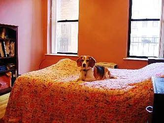 Rented by Furumoto Realty of New York City Inc