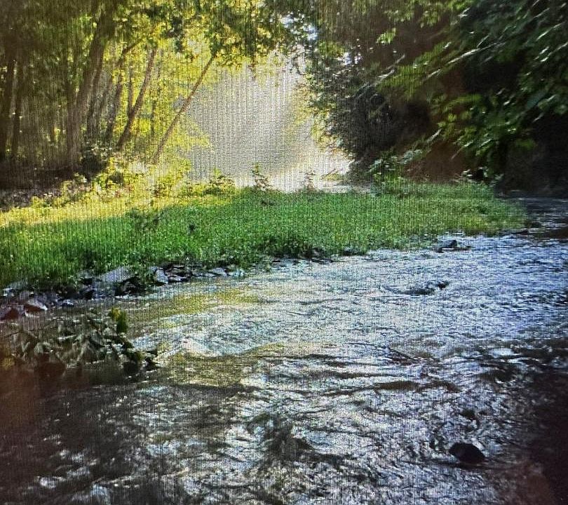 1st image of 9184 Cold Stream Rd