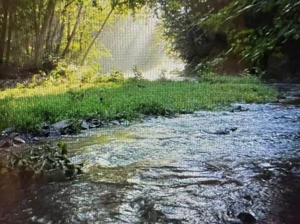 9184 Cold Stream Rd, Capon Bridge, WV 26711