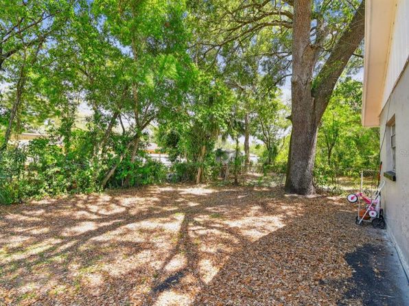 tampa-florida-444513852 picture