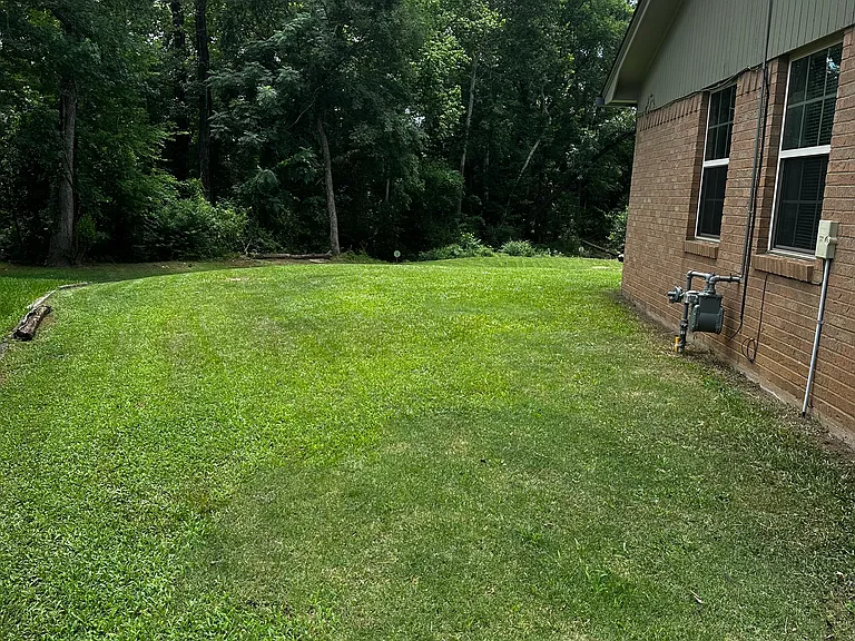 2124 Bandera Dr — Photo 4
