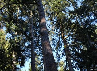 160 Horizon View Dr, Sequim, WA 98382
