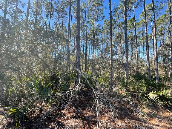 2nd image of 4001 Yates Creek Rd