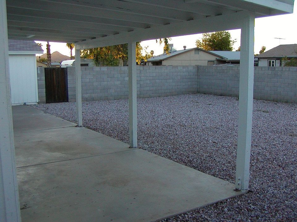 Back yard