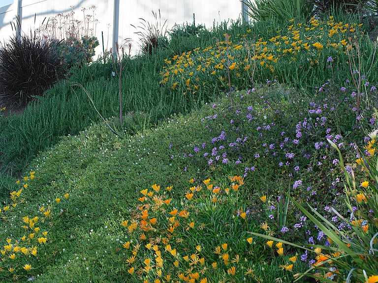 Blooming garden slop detail