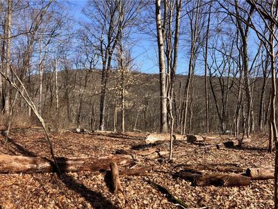 Bell Hollow Road, Putnam Valley, NY, 10579