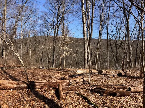 Bell Hollow Road, Putnam Valley, NY 10579