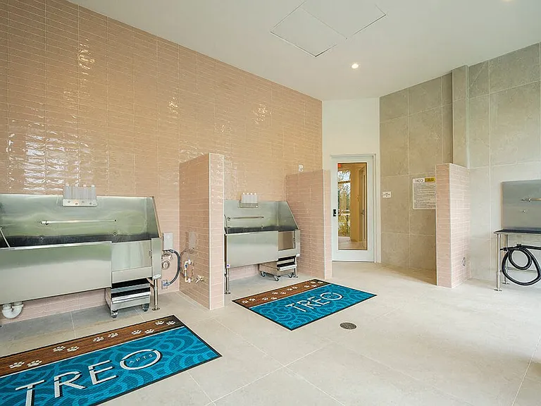 Treo Apartments — Photo 21