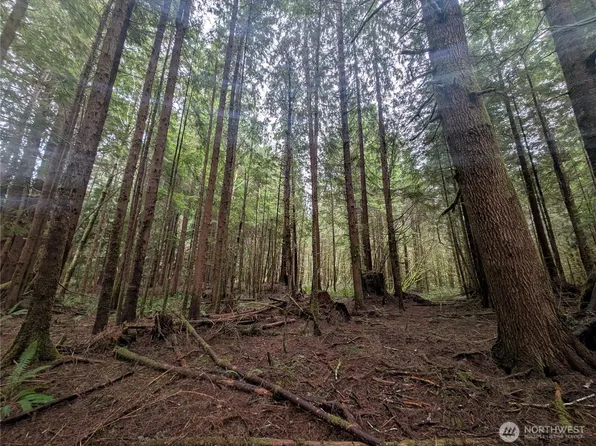 9991 Quillayute Road, Forks, WA 98331