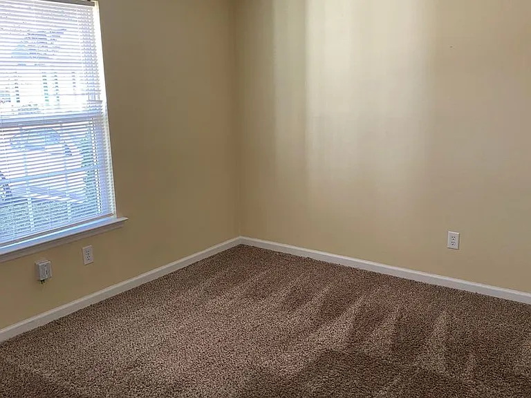 441 Flowing Creek Dr — Photo 8