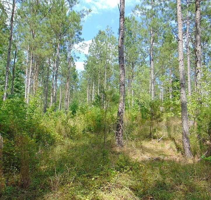 2nd image of 744 Chattem Rd