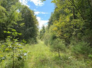 0 Kenyon Rd, Parrottsville, TN 37843