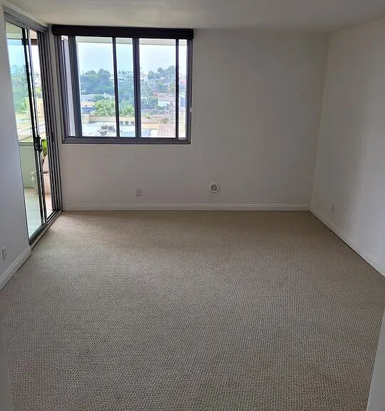 8701 Delgany Ave — Photo 21