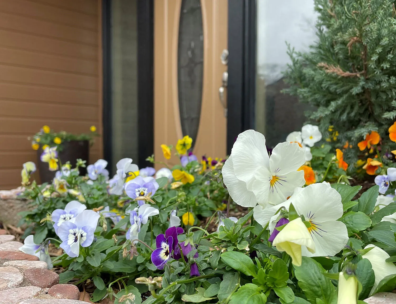 Tanglewood Place — Photo 4